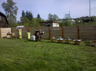 Top Bar Hive Nucleus Colonies